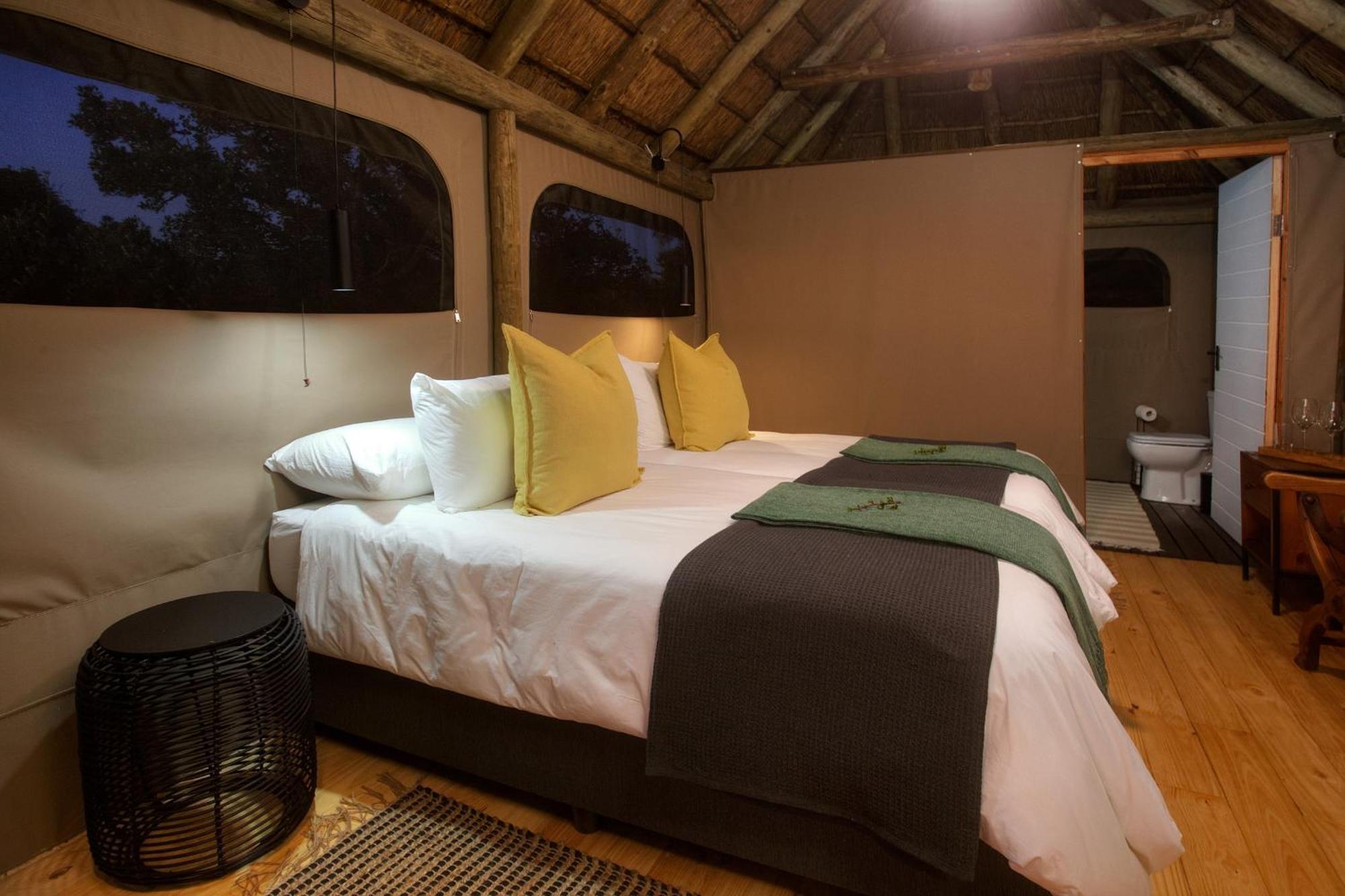 Addo Elephant Safari Lodge - Bellevue Forest Reserve 帕特森 外观 照片