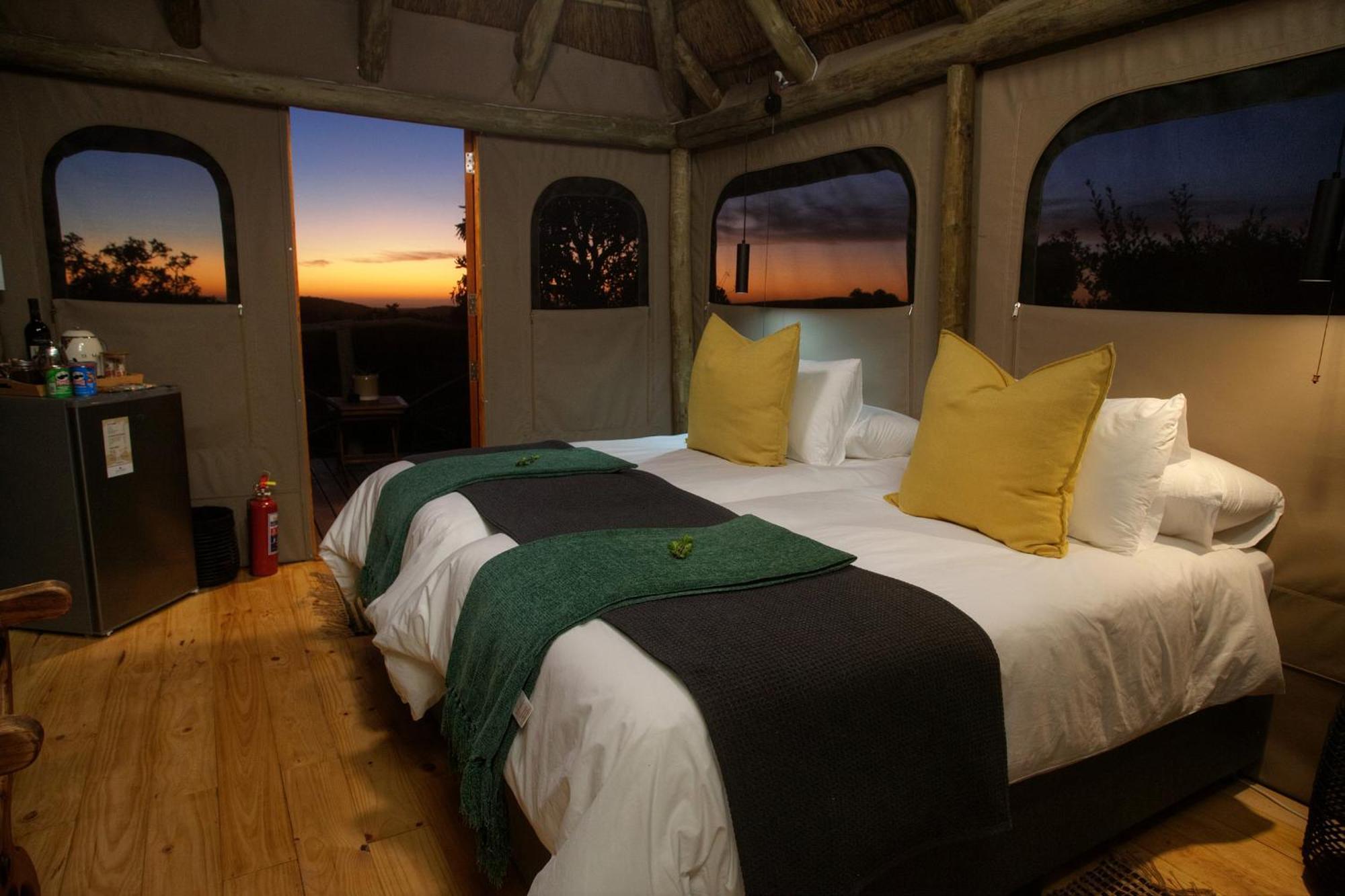 Addo Elephant Safari Lodge - Bellevue Forest Reserve 帕特森 外观 照片