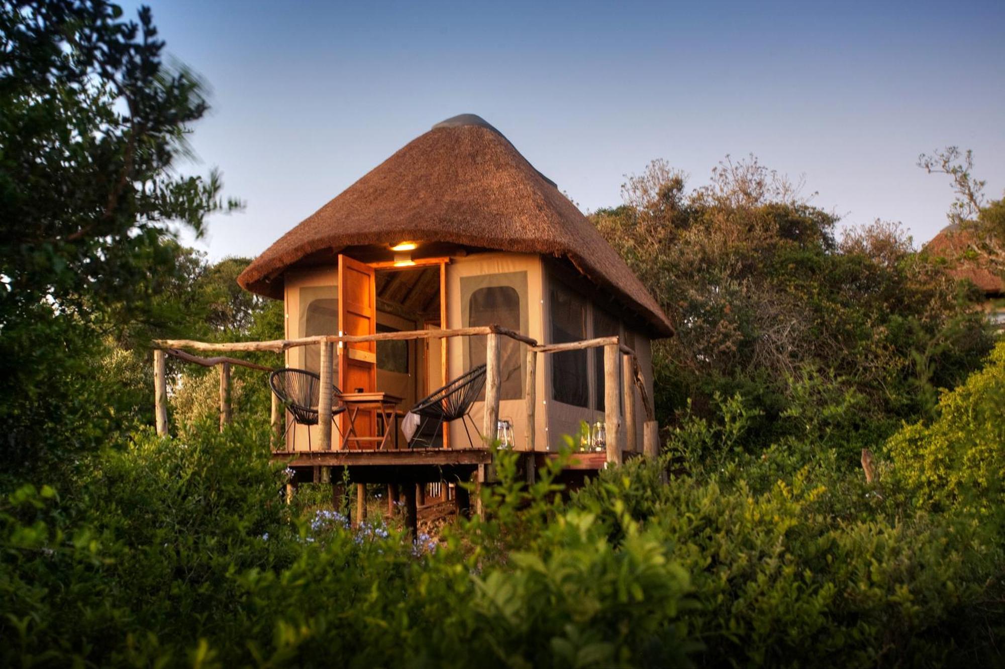 Addo Elephant Safari Lodge - Bellevue Forest Reserve 帕特森 外观 照片