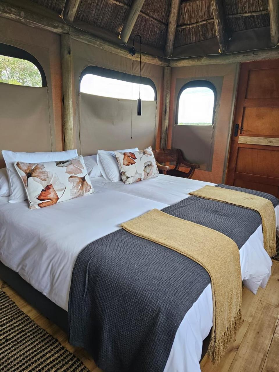 Addo Elephant Safari Lodge - Bellevue Forest Reserve 帕特森 外观 照片