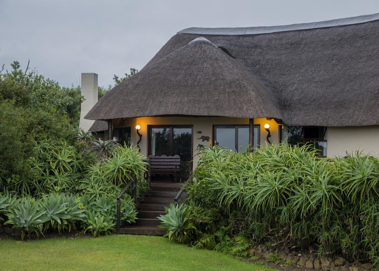 Addo Elephant Safari Lodge - Bellevue Forest Reserve 帕特森 外观 照片