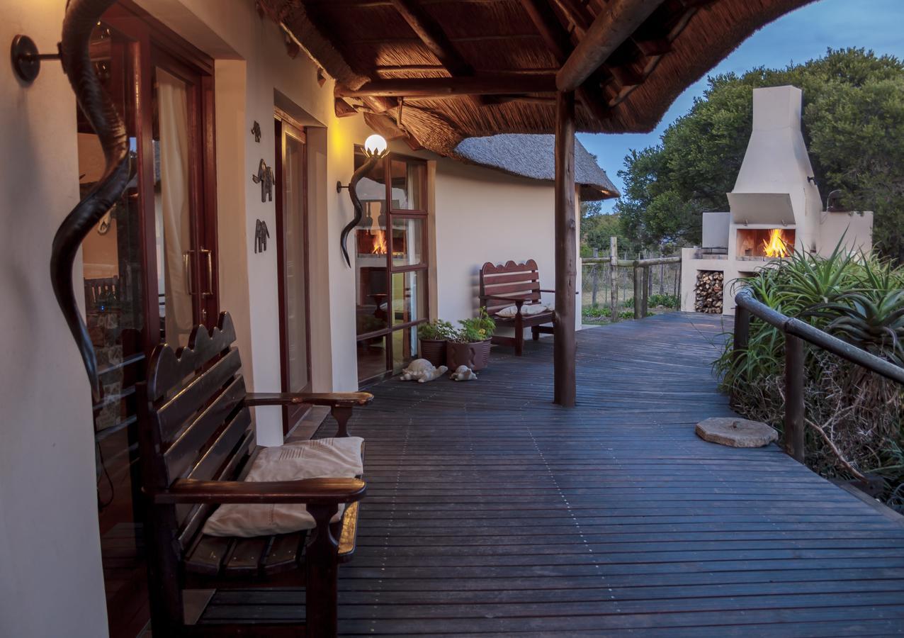 Addo Elephant Safari Lodge - Bellevue Forest Reserve 帕特森 外观 照片