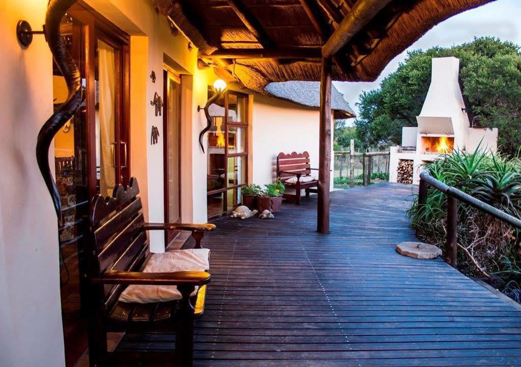 Addo Elephant Safari Lodge - Bellevue Forest Reserve 帕特森 外观 照片