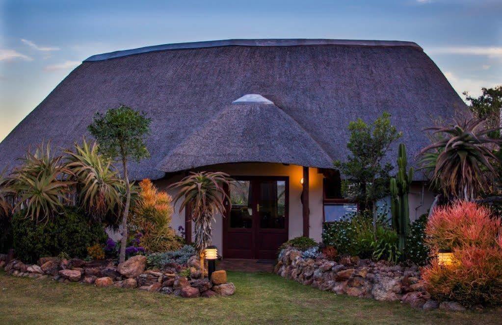 Addo Elephant Safari Lodge - Bellevue Forest Reserve 帕特森 外观 照片