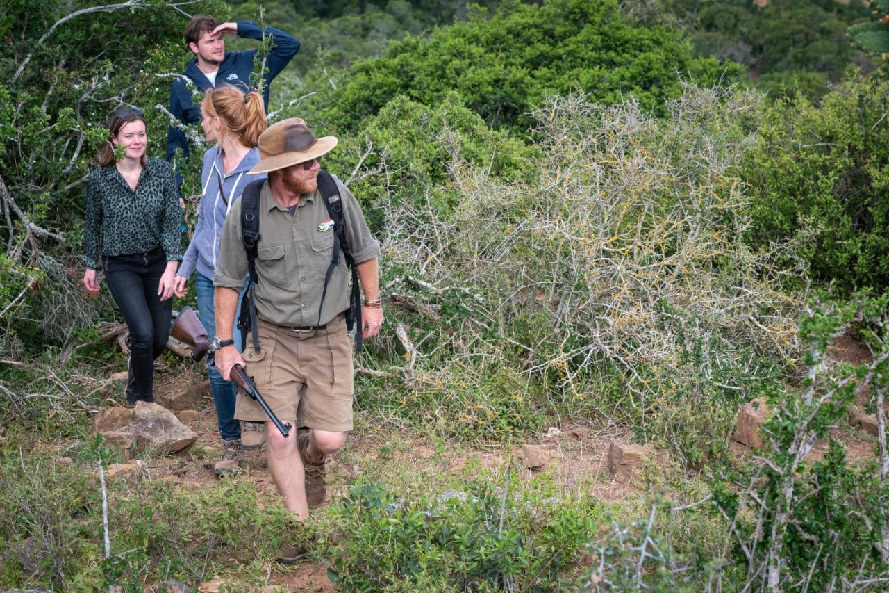 Addo Elephant Safari Lodge - Bellevue Forest Reserve 帕特森 外观 照片