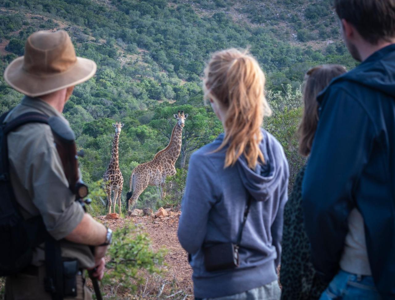 Addo Elephant Safari Lodge - Bellevue Forest Reserve 帕特森 外观 照片
