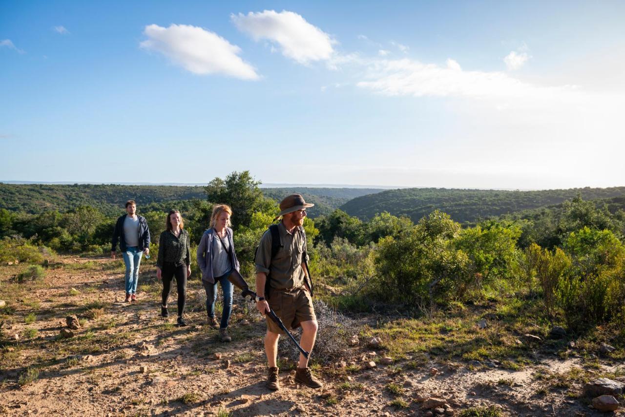 Addo Elephant Safari Lodge - Bellevue Forest Reserve 帕特森 外观 照片