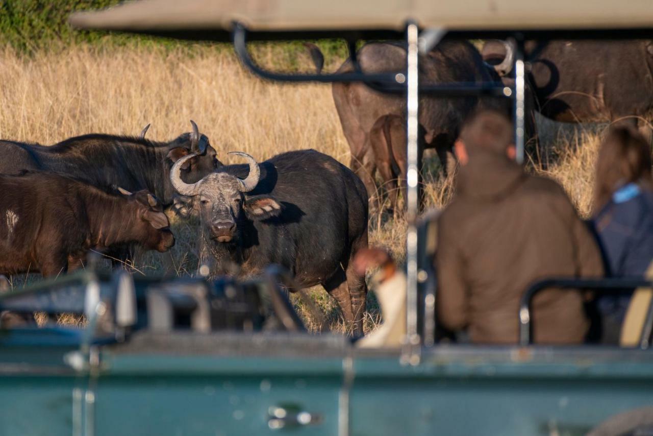 Addo Elephant Safari Lodge - Bellevue Forest Reserve 帕特森 外观 照片