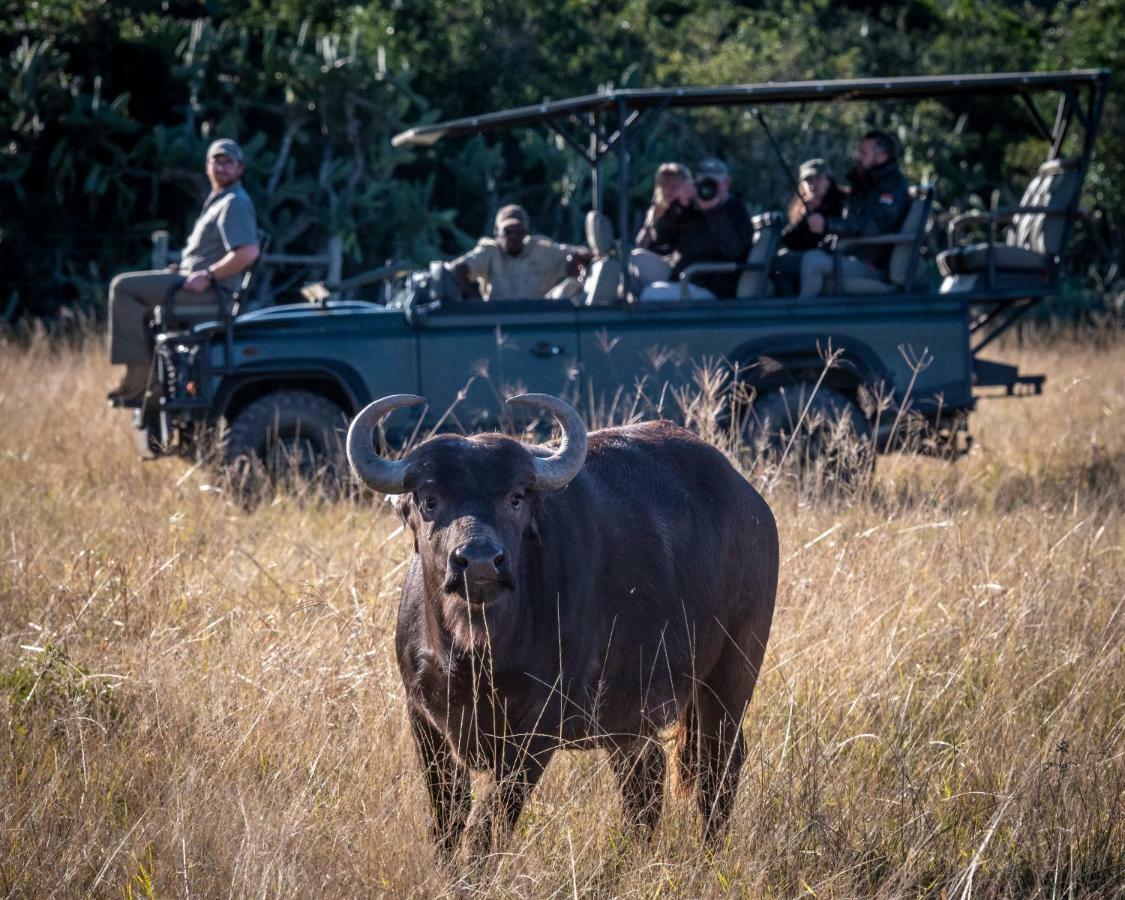 Addo Elephant Safari Lodge - Bellevue Forest Reserve 帕特森 外观 照片